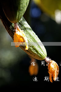 信用卡逾期被起訴后有什么后果嗎-信用卡逾期被起訴后有什么后果嗎怎么辦