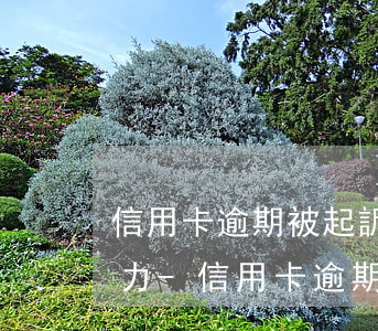 信用卡逾期被起訴后沒(méi)有還款能力-信用卡逾期被起訴后沒(méi)有還款能力怎么辦