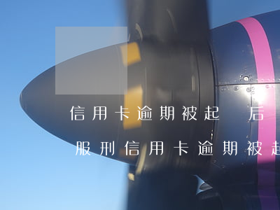 信用卡逾期被起訴后無可執(zhí)行(因服刑信用卡逾期被起訴)