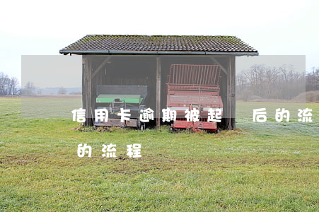 信用卡逾期被起訴后的流程(欠信用卡起訴前的流程)