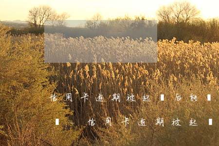 信用卡逾期被起訴后能協(xié)商還款嗎-信用卡逾期被起訴后能協(xié)商還款嗎知乎