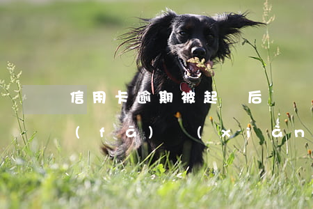 信用卡逾期被起訴后誰來還(逾期被起訴后,發(fā)現(xiàn)被告人一直有還其他銀行的信用卡)