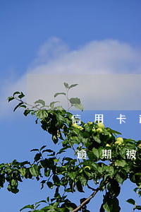 信用卡逾期被起訴后還可以撤訴嗎-信用卡逾期被起訴后還可以撤訴嗎知乎