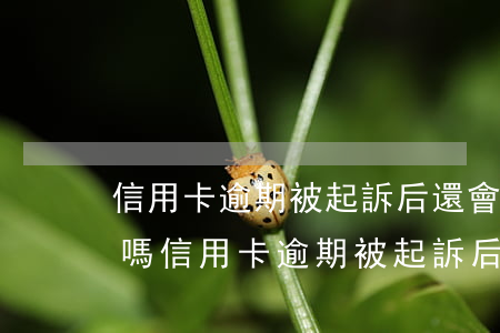 信用卡逾期被起訴后還會(huì)被拘留嗎(信用卡逾期被起訴后還會(huì)被拘留嗎)