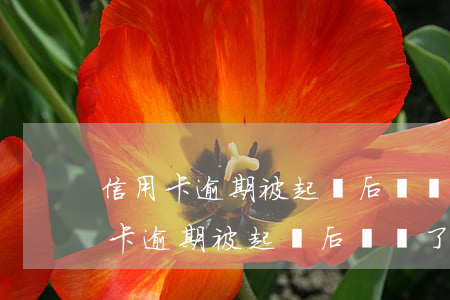 信用卡逾期被起訴后還錢了會撤訴嗎?-信用卡逾期被起訴后還錢了會撤訴嗎知乎
