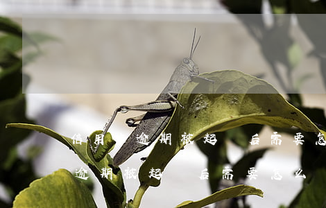 信用卡逾期被起訴后需要怎么處理-信用卡逾期被起訴后需要怎么處理呢
