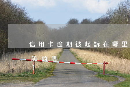 信用卡逾期被起訴在哪里(信用卡逾期有被起訴的嗎)