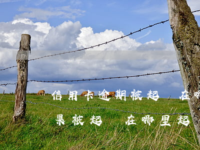 信用卡逾期被起訴在哪里查詢(信用卡逾期如果被起訴在哪里起訴)
