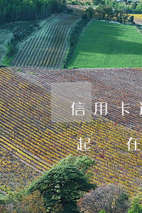 信用卡逾期被起訴在哪里查詢(信用卡逾期被起訴在哪里查詢)
