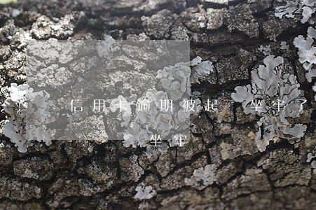 信用卡逾期被起訴坐牢了(信用卡逾期被民事訴訟會坐牢嗎)