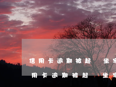 信用卡逾期被起訴坐牢了可以不還錢嗎-信用卡逾期被起訴坐牢了可以不還錢嗎