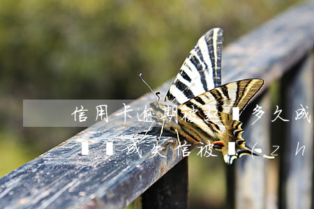 信用卡逾期被起訴多久成為失信人(逾期多久會變成失信被執(zhí)行人)
