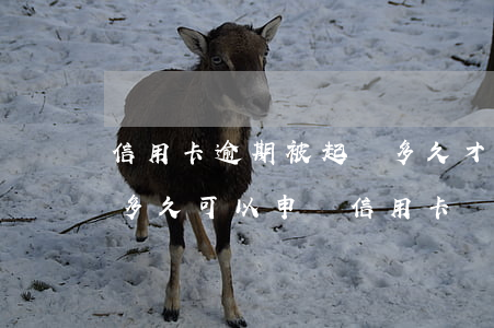 信用卡逾期被起訴多久才能還款-逾期還完多久可以申請信用卡