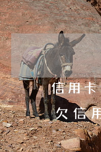 信用卡逾期被起訴多久會(huì)受理-欠信用卡逾期多久會(huì)被起訴