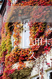 信用卡逾期被起訴多久能辦好(“信用卡逾期多久會被起訴”)