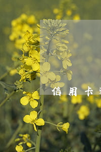 信用卡逾期被起訴多年后還