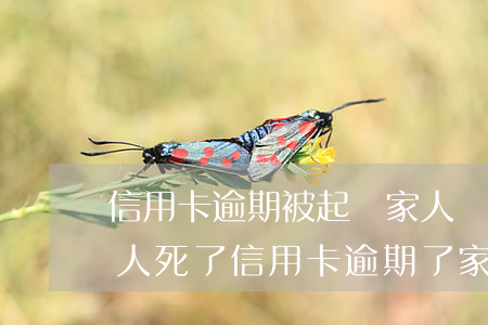 信用卡逾期被起訴家人會(huì)影響嗎(人死了信用卡逾期了家屬會(huì)被起訴嗎)