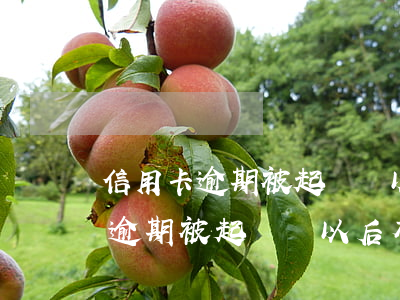 信用卡逾期被起訴對以后有影響嗎-信用卡逾期被起訴對以后有影響嗎知乎