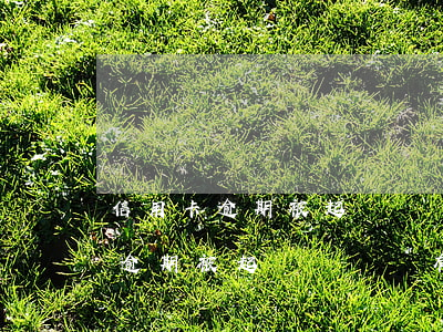 信用卡逾期被起訴對親屬有影響嗎-信用卡逾期被起訴對親屬有影響嗎知乎