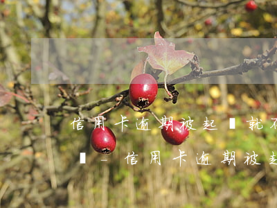信用卡逾期被起訴就不能協(xié)商了嗎-信用卡逾期被起訴就不能協(xié)商了嗎為什么