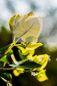 信用卡逾期被起訴屬于什么影響-被信用卡起訴會有什么后果