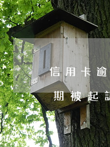 信用卡逾期被起訴屬于公訴 因服刑信用卡逾期被起訴