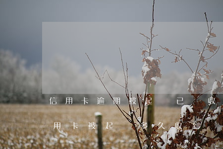 信用卡逾期被起訴已經收到傳票怎么處理(信用卡被起訴多久收到傳票)