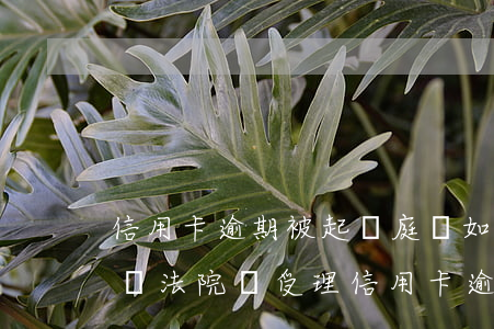 信用卡逾期被起訴庭審如何應(yīng)對 法院會受理信用卡逾期案件嗎
