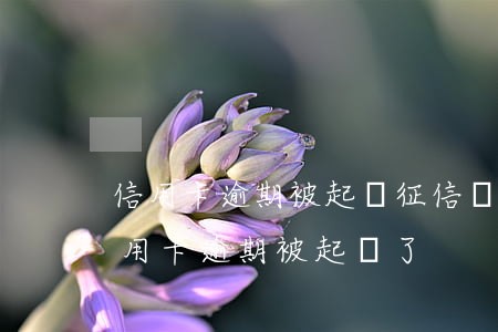 信用卡逾期被起訴征信還可以變好嘛-欠信用卡逾期被起訴了