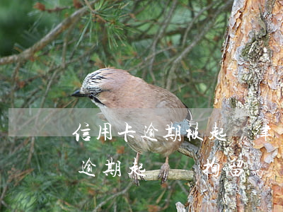 信用卡逾期被起訴律師會通知我嗎(欠信用卡逾期起訴會拘留嗎)