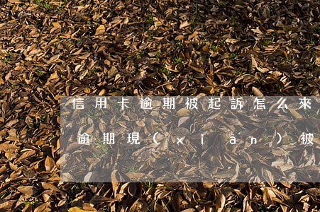 信用卡逾期被起訴怎么來應付(因服刑信用卡逾期現(xiàn)被起訴該怎么做)
