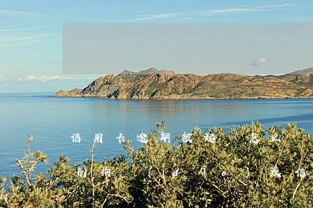 信用卡逾期被起訴怎么應(yīng)辮(因刑拘導(dǎo)致信用卡逾期)