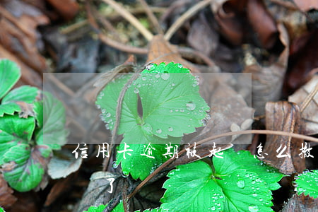 信用卡逾期被起訴怎么撤銷(信用卡逾期被注銷了)