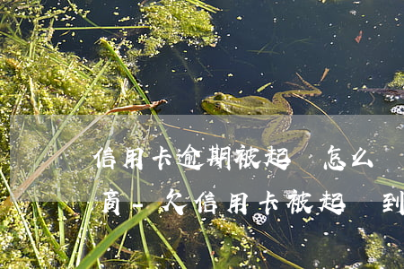 信用卡逾期被起訴怎么樣可以協(xié)商-欠信用卡被起訴到法院可以協(xié)調(diào)嗎