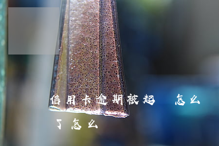 信用卡逾期被起訴怎么處理(信用卡逾期被告了怎么辦)