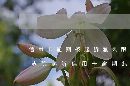 信用卡逾期被起訴怎么跟銀行撤訴-銀行去法院起訴信用卡逾期怎么辦
