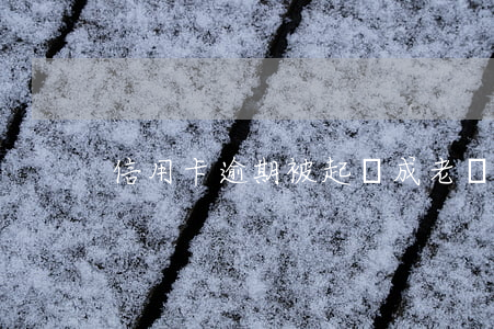 信用卡逾期被起訴成老賴-欠信用卡老賴 信用卡逾期被起訴成老賴-欠信用卡老賴
