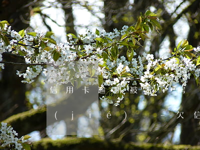 信用卡逾期被起訴房產(chǎn)會凍結(jié)嗎-欠信用卡會凍結(jié)房產(chǎn)嗎