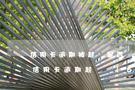 信用卡逾期被起訴是否會(huì)判刑(欠信用卡逾期起訴會(huì)拘留嗎)