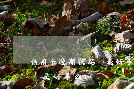 信用卡逾期被起訴是好事么(信用卡逾期被起訴是好事么)