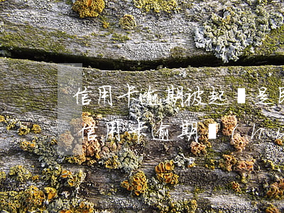 信用卡逾期被起訴是民事案件嗎 什么情況下信用卡逾期會(huì)被起訴