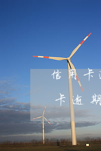 信用卡逾期被起訴是黑戶(hù)嗎(有信用卡逾期被起訴的嗎)