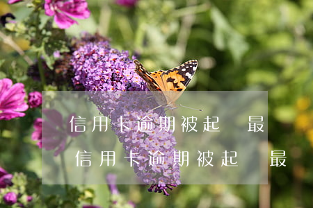 信用卡逾期被起訴最壞結(jié)果是啥(信用卡逾期被起訴最壞結(jié)果是啥)