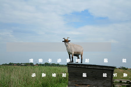 信用卡逾期被起訴最長能分期多久-信用卡逾期被起訴最長能分期多久還款