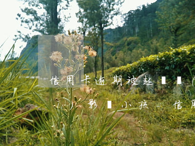 信用卡逾期被起訴會(huì)不會(huì)影響小孩-信用卡逾期被起訴會(huì)不會(huì)影響小孩上學(xué)