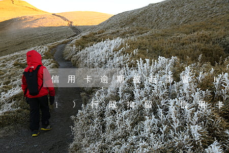 信用卡逾期被起訴會(huì)不會(huì)行政拘留-信用卡逾期被起訴會(huì)不會(huì)行政拘留呢