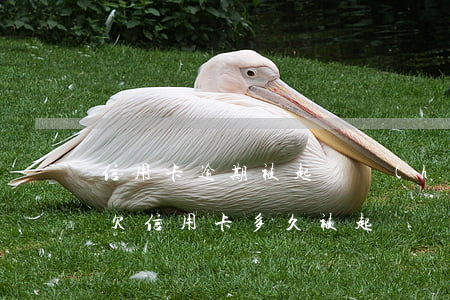 信用卡逾期被起訴會(huì)坐牢判多久(欠信用卡多久被起訴)