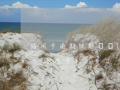 信用卡逾期被起訴會(huì)多還多少錢-信用卡8000多逾期會(huì)被起訴嗎
