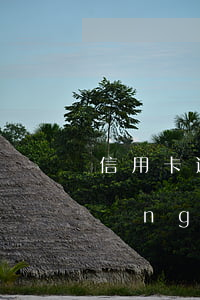 信用卡逾期被起訴會(huì)影響當(dāng)事人什么-信用卡逾期被起訴會(huì)影響當(dāng)事人什么后果