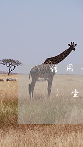 信用卡逾期被起訴會(huì)會(huì)坐牢嗎(信用卡逾期被起訴會(huì)坐牢嗎?)